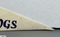 Minnesota Vikings NFL Pennant