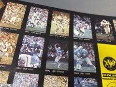 Approx. 23 Sports Posters.  Includes Football, Racing and Basketball.