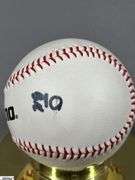 12 Signed Baseballs, 1 ASA Unsigned Softball, an Unsigned Wilson Baseball and a Stretchose Twin City's  Sanitary Tube Sock