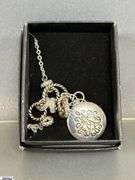 Costume Earrings, Necklaces, Wedgwood Necklace, Hand Held Counter, Harmonical, TransAM Belt Buckle, Pins / Buttons