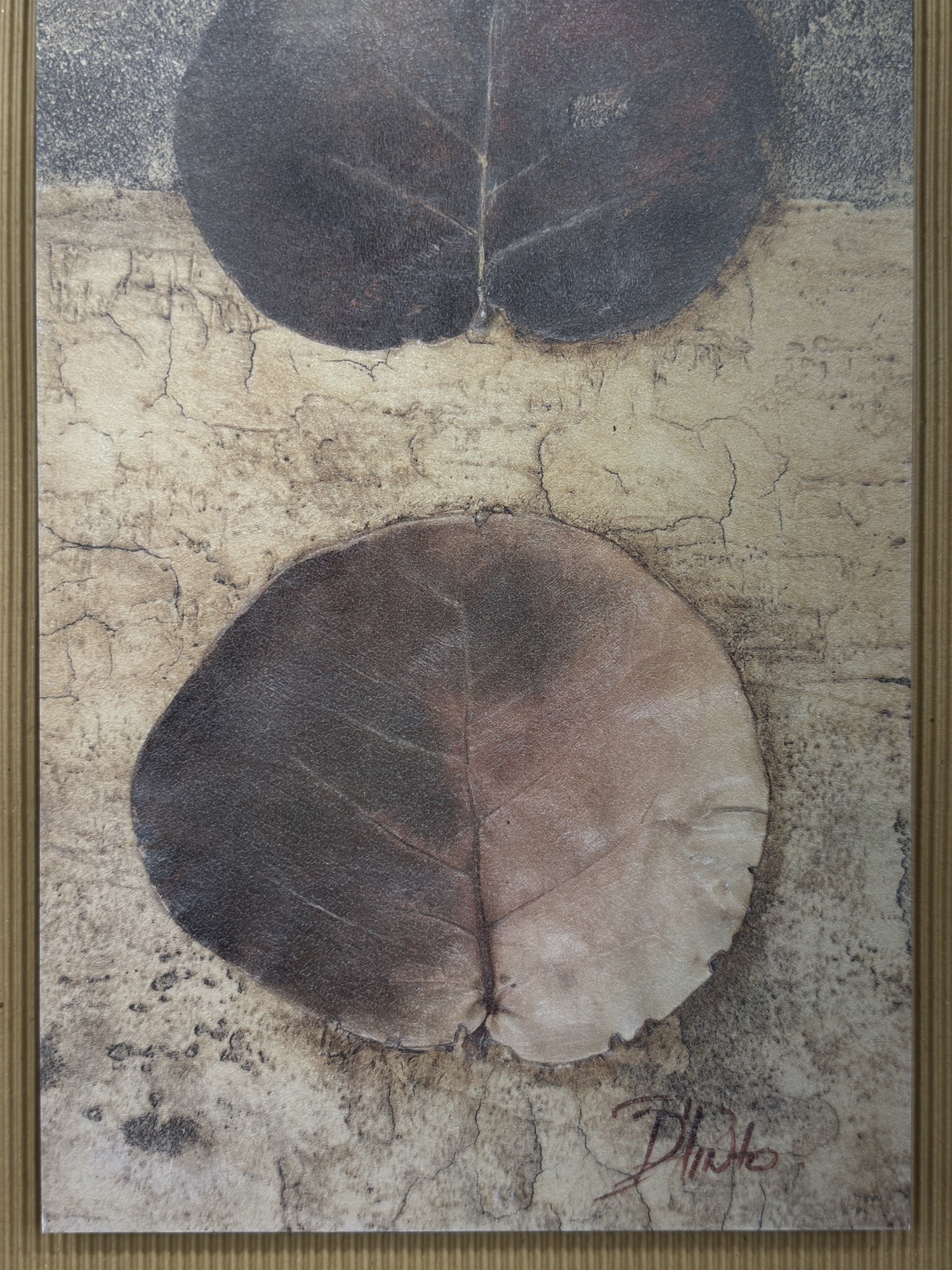 Lot image 4