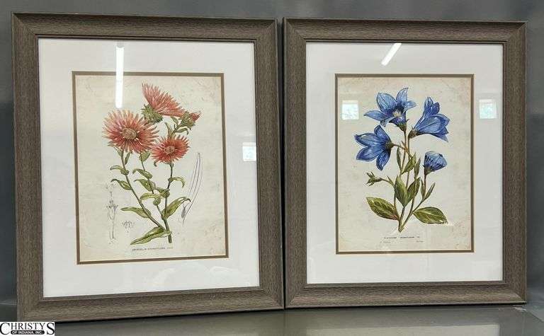 "Botanical ! & !!" Framed For Model Home Art 19x22" image