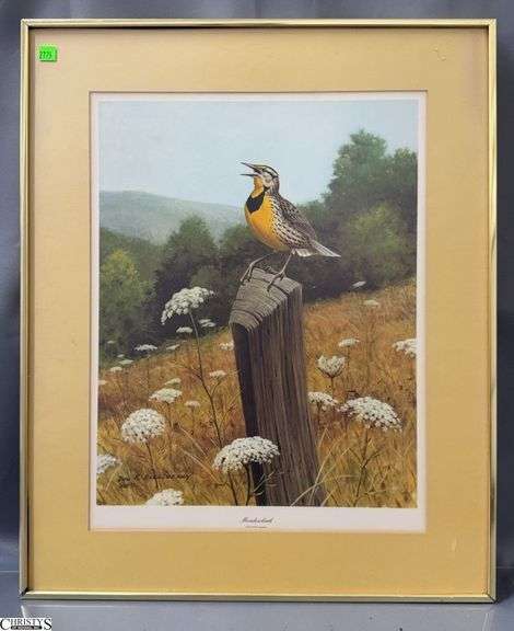 Meadowlark Framed Print, 22x27" image