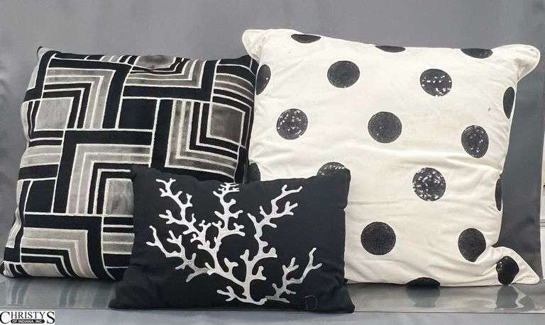 3 Black and White In Color Throw Pillows, Larger Two 22" image