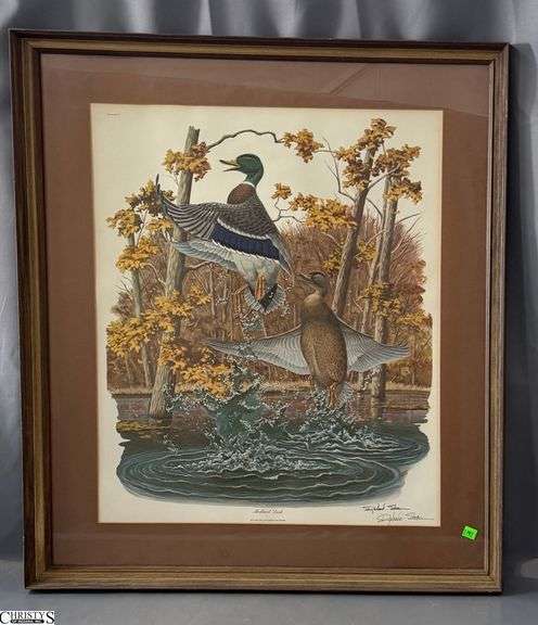 "Mallard Duck" Signed Richard Sloan Framed 29x34" image
