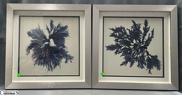 Pair of Blue Coastal Coral Framed Wall Art 22x22" image