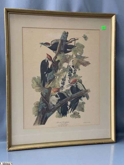 Red Pileated Woodpecker Print 21x25" image