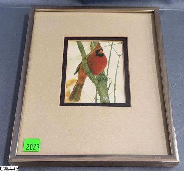 Fulton Cardinal Wildlife Photo - 8" x 10" of frame image