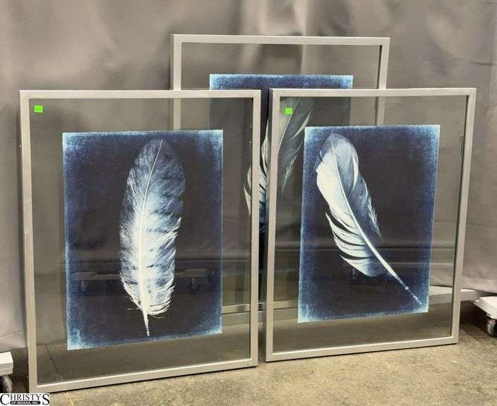 3 Uttermost Feather Framed Prints - 26.5" x 32.5" of each image