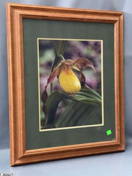 Signed Framed Photo 20x24" image