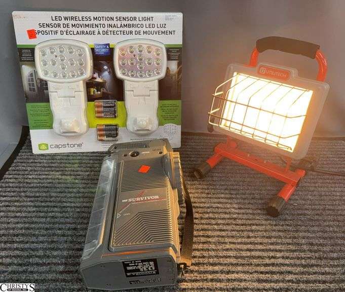 Work Light, Motion Light, image