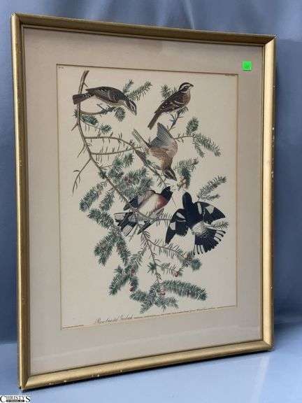 Framed Birds Print 21x25" image