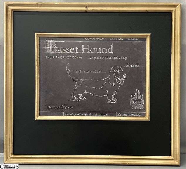 "Basset Hound" Specimen Style Print - 24" x 22" image