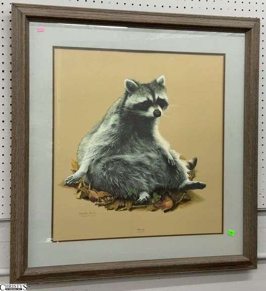 Large Raccoon Framed Print, 32x33" image