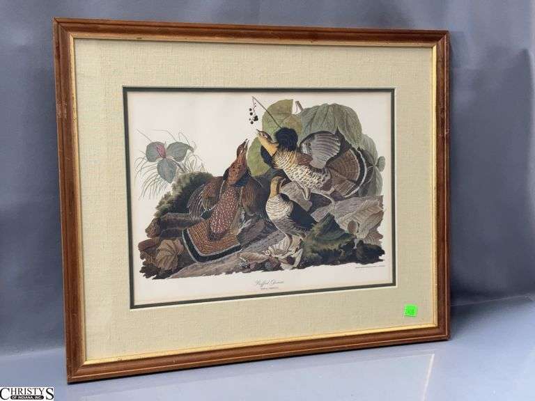 Ruffled Grouse Print Frame 24x19" image