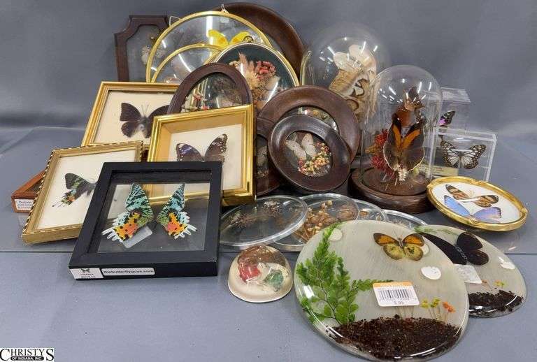 Butterflies, Moths, Dome 9" Decor, Floral Frames image