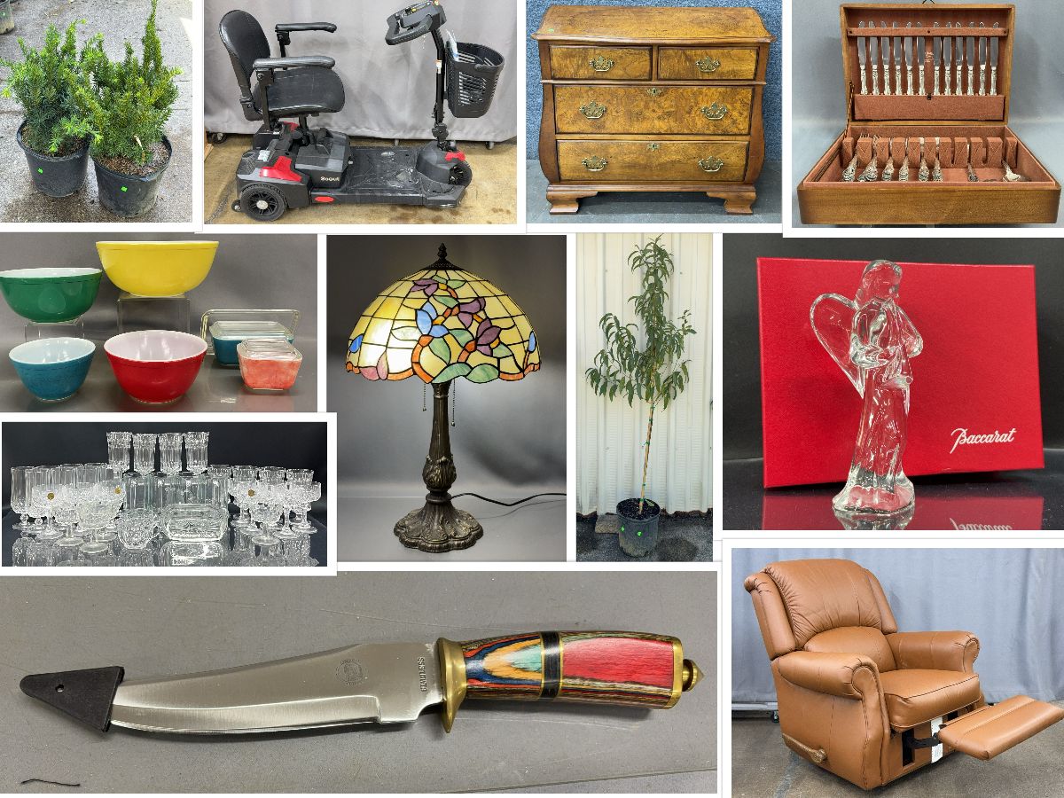 9/24/25 Plants and Trees With Ludwig, and Other Estates featured photo