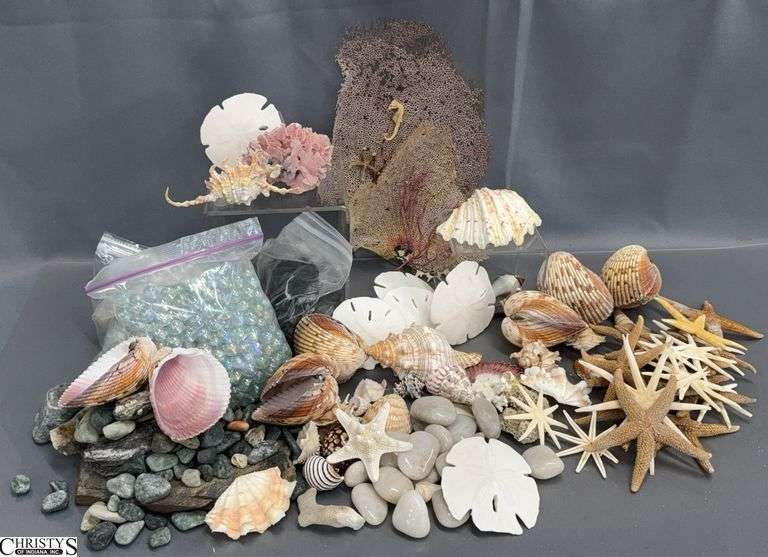 4 Flats Assorted Seashells, Stone and Glass Filler - some damage to shells - 5" approx of largest image