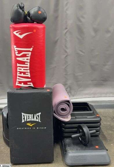 Everlast Punching Bag and Strike Shield, Boxing Gloves and Zen Sports Step and Risers - 47" T of punching bag image
