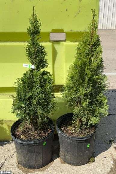 Pair of Emerald Green Abortive 40" Tallest image