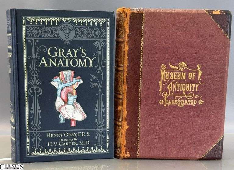 1883 Museum of Antiquity and 2010 Gray's Anatomy Books - some edge/spine wear image