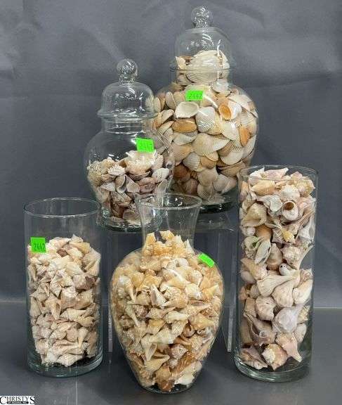 5 Glass Vases Filled with Seashells - 9" of tallest image