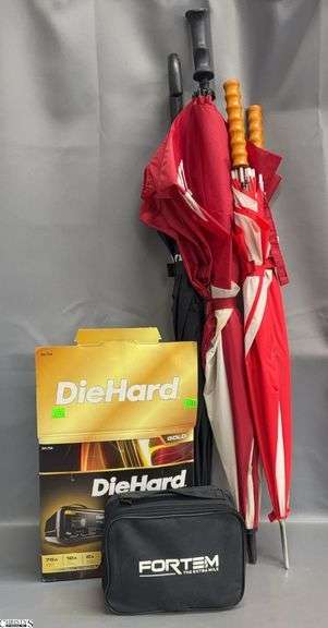 Diehard Battery Charger, Fortem Digital Air Compressor, Umbrellas image