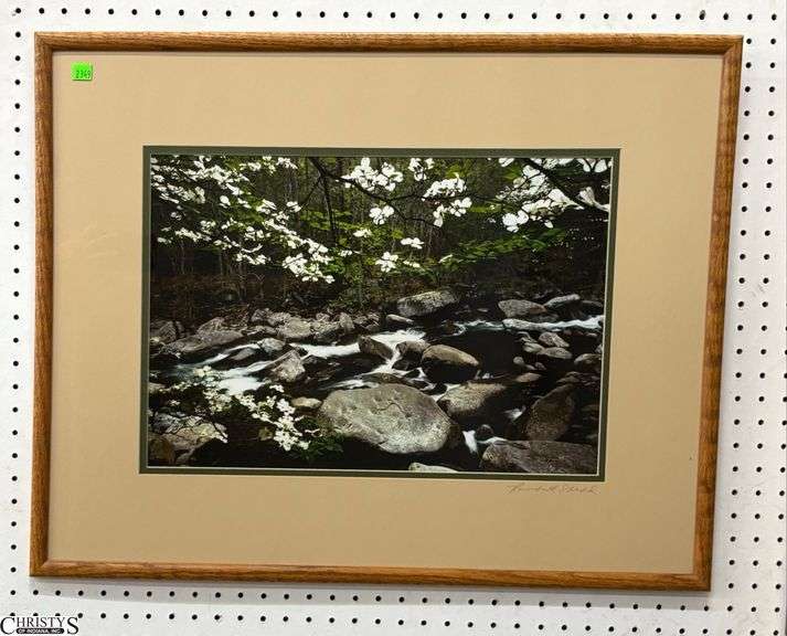 "Spring Dogwood" Smokey Mountains National Park Signed Randall Shedd Photo Print - 29" x 23" of frame image