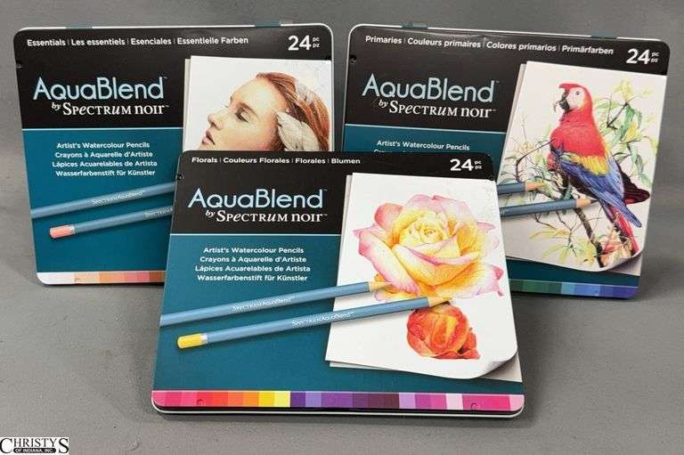 3 Aquablend By Spectrum noir 24pc Artists Watercolor Pencils image