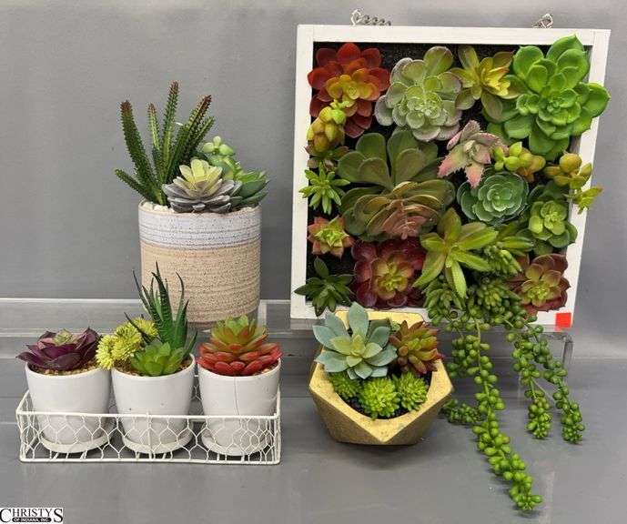 4 Artificial Succulent Plants - 12" x 12" of largest image