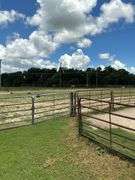 Terry Butler Horse Farm
