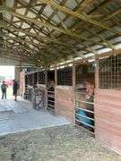 Terry Butler Horse Farm