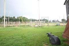 Terry Butler Horse Farm