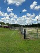 Terry Butler Horse Farm