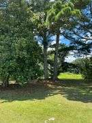 Terry Butler Horse Farm