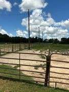 Terry Butler Horse Farm
