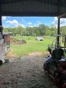 Terry Butler Horse Farm