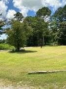 Terry Butler Horse Farm