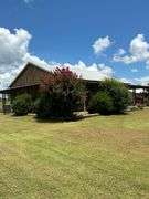 Terry Butler Horse Farm