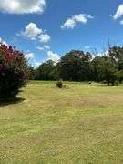 Terry Butler Horse Farm