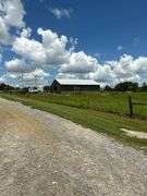 Terry Butler Horse Farm