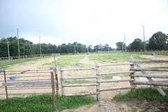 Terry Butler Horse Farm
