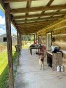 Terry Butler Horse Farm