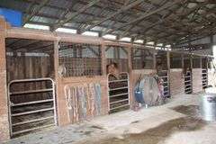 Terry Butler Horse Farm