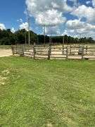 Terry Butler Horse Farm
