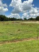 Terry Butler Horse Farm