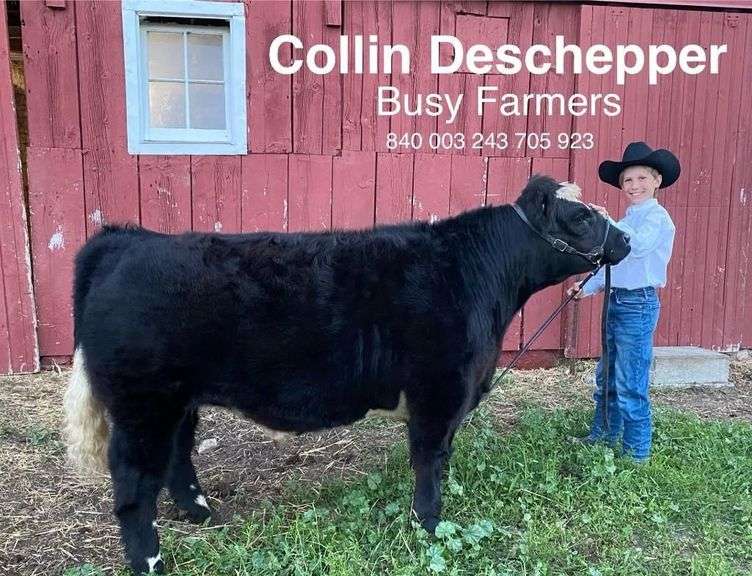 Collin Deschepper