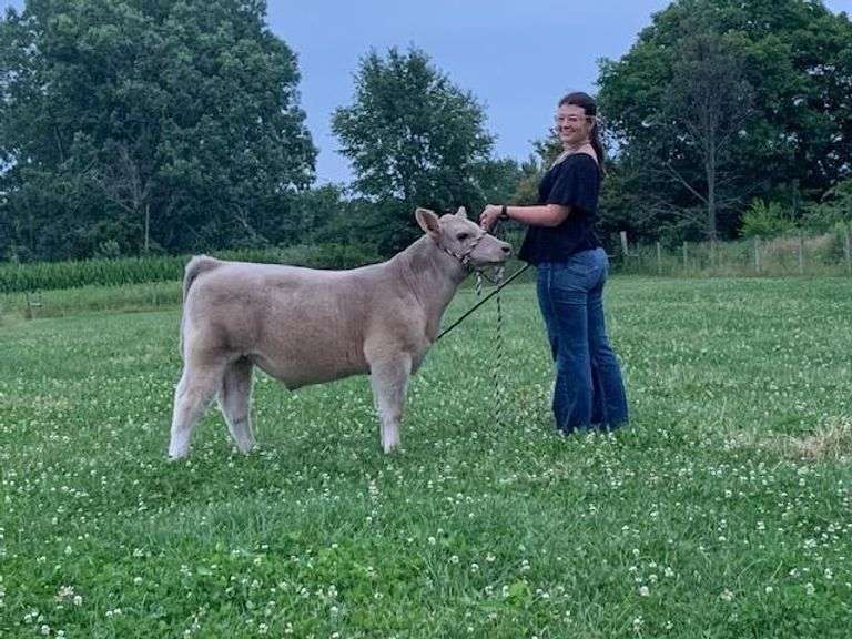 Emma Challender - Champion Beef Prospect