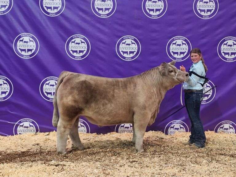 Brooklyn Ritter - Reserve Champion Beef Steer