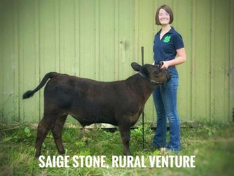 Saige Stone